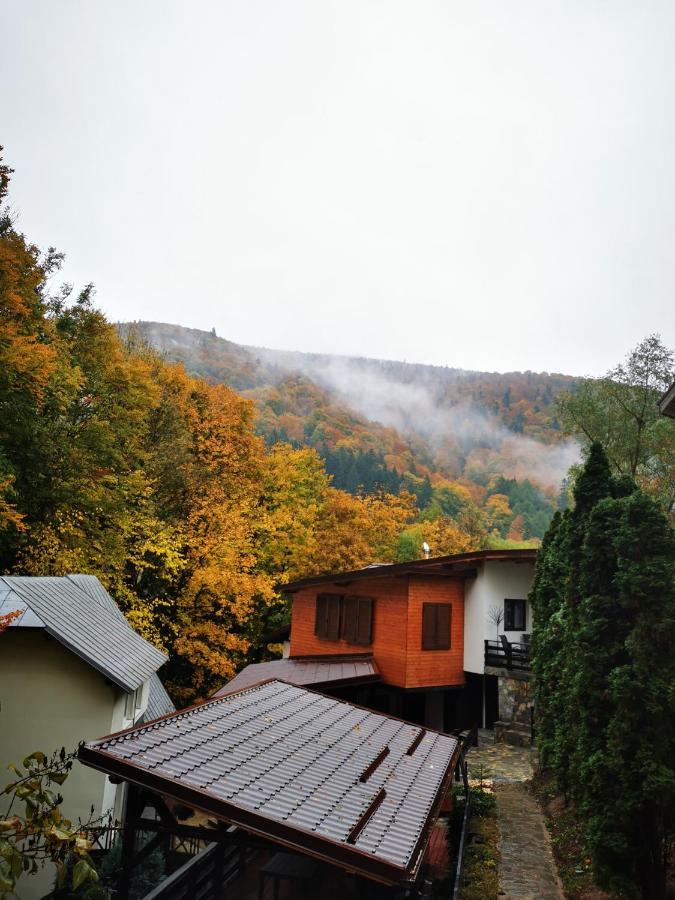 Pensiune Casa Flandria Sinaia
