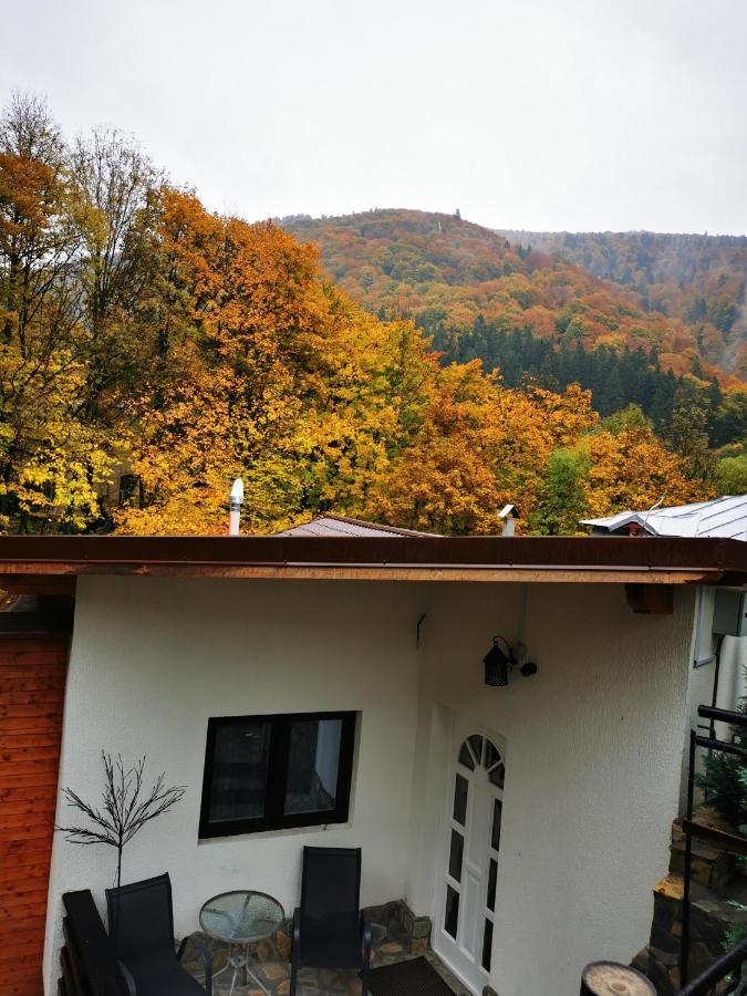 Pensiune Casa Flandria Sinaia