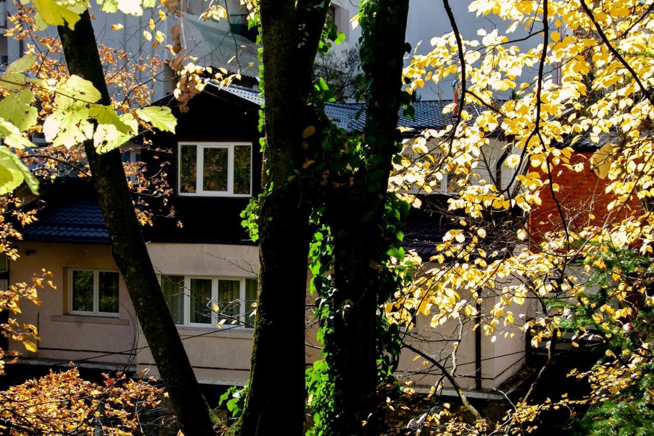 Casa Flandria Pensiune *