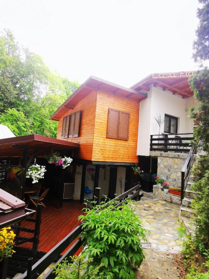 Casa Flandria Pensiune
