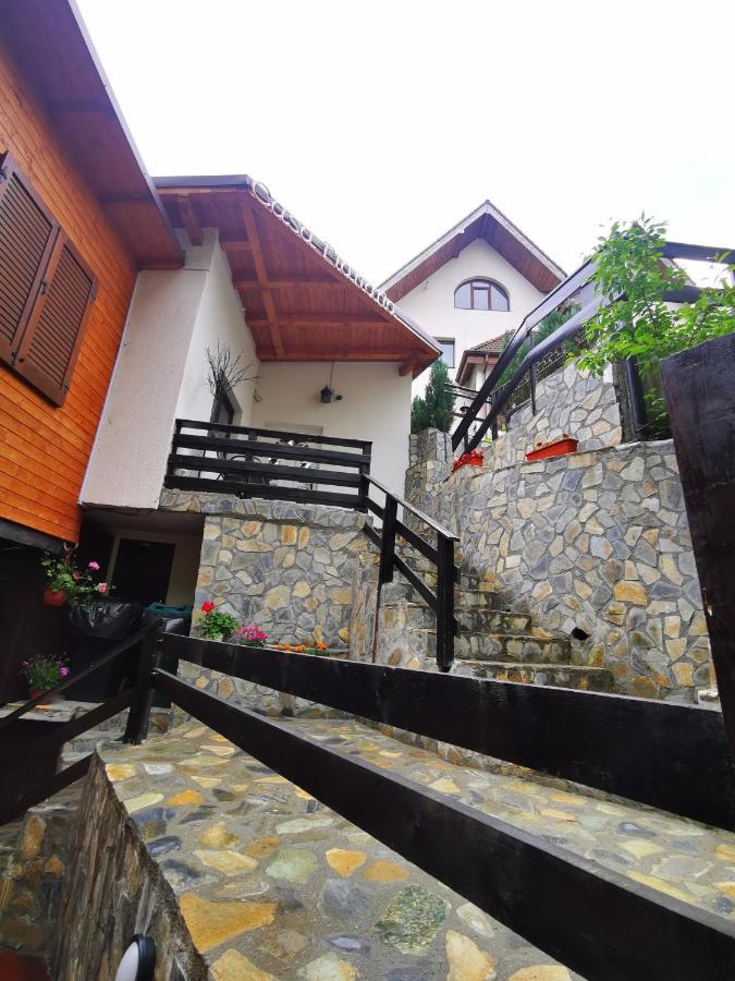 Casa Flandria Pensiune Sinaia